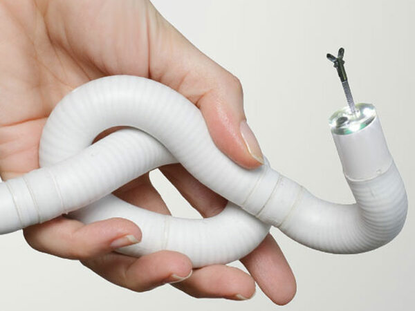 Robotic Endoscopy